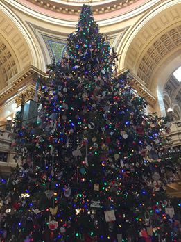 Image may contain: christmas tree and outdoor